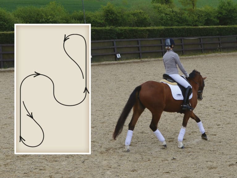 Flatwork Exercises For Horses